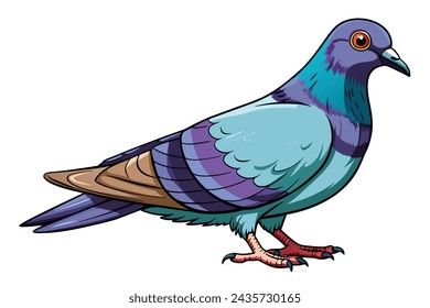 Beautiful realistic pigeon vector illustration artwork