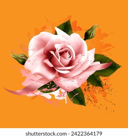 beautiful realistic pink rose vector illustration