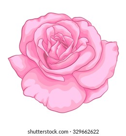 beautiful realistic red rose isolated on white background. . Perfect background for greeting cards and invitations of the wedding, birthday, Valentine's Day, mother's day and other seasonal holidays