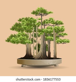 Beautiful realistic tree. Tree in bonsai style. Bonsai tree on the low pot. Decorative little tree vector illustration. Nature art