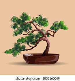 Beautiful realistic tree.Tree in bonsai style. Bonsai tree with deep green leaves on the low round pot. Decorative little tree vector illustration. Nature art