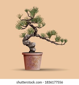 Beautiful realistic tree.Tree in bonsai style. Bonsai tree with unusual twisted trunk on the low round pot. Decorative little tree vector illustration. Nature art