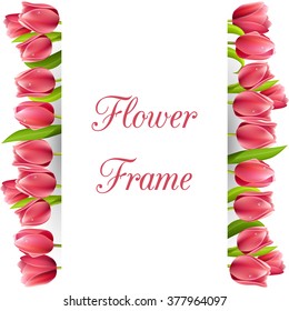 Beautiful realistic tulip frame