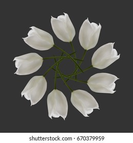 Beautiful realistic tulip frame, flower mandala, vector illustration