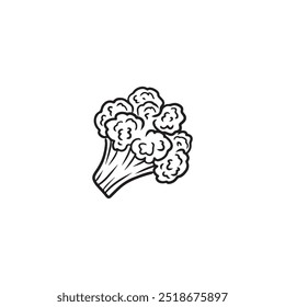 Beautiful realistic vector cauliflower with leaves in black on white background. Hand drawn vector sketch illustration in doodle engraved vintage line art style. Coloring book food ingredient