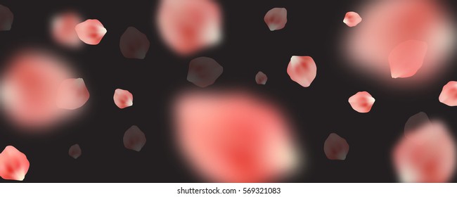 Beautiful realistic vector cherry petals on black background. 
