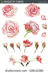 Beautiful Realistic vector elements set of red roses. No transparency and shadows, eps8