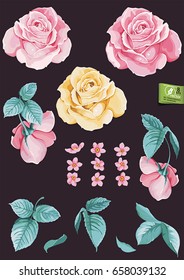 Beautiful realistic vector elements set of pink and yellow roses