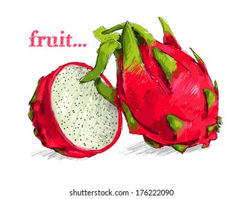 Beautiful realistic vector exotic fruit