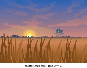 Beautiful realistic vector landscape. Morning sunrise at countryside. Field and single tree. Grass or grain in the foreground. Warm golden glow. Pink clouds. Perfect background for animation or a game