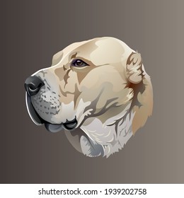 Beautiful realistic vector portrait of a dog breed of central Asian Shepherd 
Amazing figure item for logo or awards 
Alabai breed watchdog