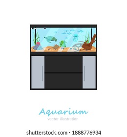 Beautiful Rectangular Fish Tank Image. Exotic Pet In Your House. Editable Vector Illustration Isolated On A White Background. Colorful Cartoon Flat Style. Graphic Design