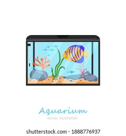 Beautiful Rectangular Fish Tank Image. Exotic Pet In Your House. Editable Vector Illustration Isolated On A White Background. Colorful Cartoon Flat Style. Graphic Design