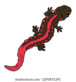 Beautiful Red Brown salamander ,good for graphic design resources, posters, banners, templates, prints, coloring books and more.