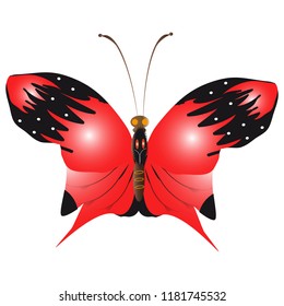 beautiful red butterflies, isolated on a white