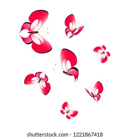 beautiful red butterflies, isolated on a white