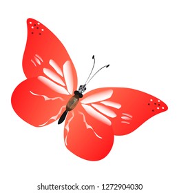 beautiful red butterflies, isolated on a white