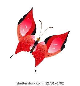 beautiful red butterflies, isolated on a white