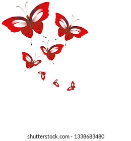 beautiful red butterflies, isolated on a white