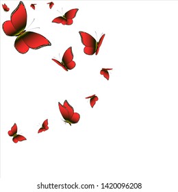beautiful red butterflies, isolated on a white
