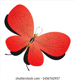 beautiful red butterflies, isolated on a white