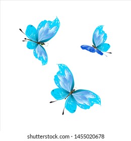 beautiful red butterflies, isolated on a white