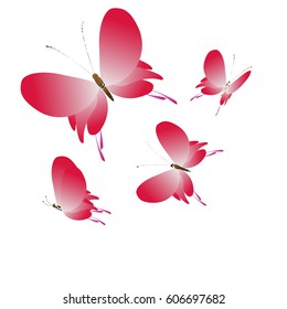 beautiful red butterflies, isolated on a white