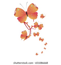 beautiful red butterflies, isolated on a white