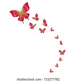 beautiful red butterflies, isolated on a white background
