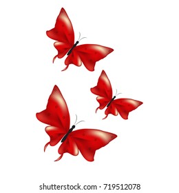 beautiful red butterflies, isolated on a white