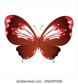 bella mariposa roja aislada en un blanco