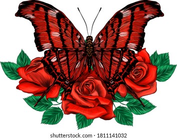 beautiful red butterfly and roses vector illustration