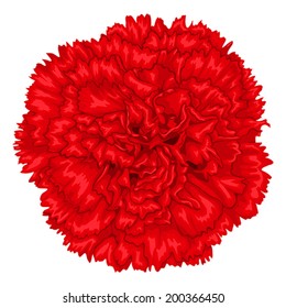 Beautiful red carnation isolated on white background. Hand-drawn with effect of drawing in watercolor