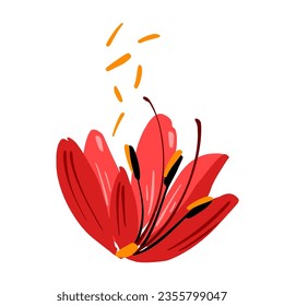 Hermosa flor de color rojo con estambres de polen volantes cerca. Elemento botánico de color claro y simple vectorial para la decoración. Diseño floral.