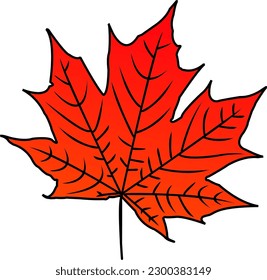 Beautiful Red Color Maple Leaf Vector