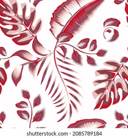 beautiful red color monochromatic style tropical monstera fern leaves and banana plant foliage on white background. suitable for shirt cloth or textile. fashionable texture design. Exotic summer art