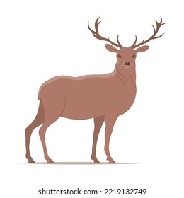 Beautiful red deer with antlers. Standing and looking. Forest herbivore animal. Faina and wildlife. Flat vector illustration isolated on white background