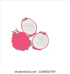 A beautiful red dragon fruit vector art work