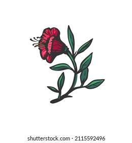 Beautiful red flower. Red bell flower, vector illustration. 