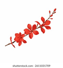 A beautiful red flower branch on white background