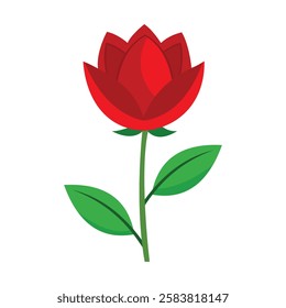 Beautiful Red Flower Displayed on White