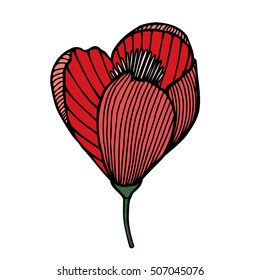 beautiful red flower isolated on white background. for greeting cards and invitations of the wedding, birthday, Valentine's Day, mother's day and other seasonal holidays