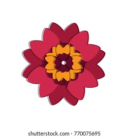 beautiful red flower and petals floral design