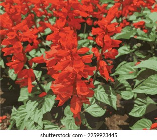 beautiful red flower vector illustration watercolor template