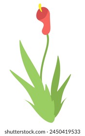 beautiful red flower vector illustration