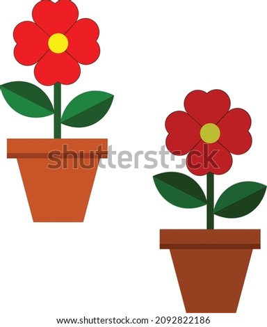 beautiful red flowers in pot