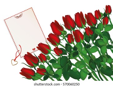 Beautiful red flowers. Roses with blank and gift Pendant in the shape of a heart. Golden necklace. Empty space for your ad or inscriptions or messages. Postcard on Valentine's wedding and birthday. 