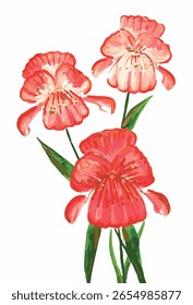 Hermosas flores mullidas rojas sobre un fondo blanco. Postales, flores, pegatinas. Imagen de Vector