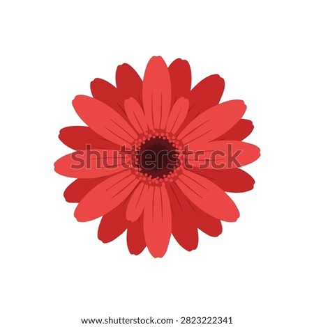 Beautiful Red Gerbera Daisy Flower Illustration Isolated on White Background for Floral Design