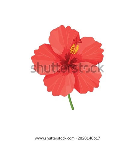 Beautiful Red Hibiscus Flower Vector Illustration Isolated on White Background for Tropical Design